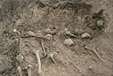 Wola Ostrowiecka, 1992 r. Odkryta zbiorowa mogia czci zamordowanych przez UPA mieszkacw wsi podczas ekshumacji w 1992 r.