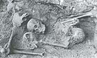 Wola Ostrowiecka, 1992 r. Fragment wntrza innej zbiorowej mogiy Polakw zamordowanych 30 sierpnia 1943 r.