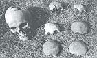 Wola Ostrowiecka, 1992 r. Czaszka osoby dorosej i fragmenty czaszek dziecicych wydobytych z mogiy podczas ekshumacji.