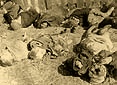 Lipniki, 1943 r. Zwłoki zamordowanych Polaków w kolonii Lipniki.