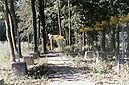 Bielin, wieś w gminie Werba, 1998 r. Cmentarz wojenny, na którym oprócz osób cywilnych znajdują się mogiły żołnierzy 27 Wołyńskiej Dywizji Piechoty AK.